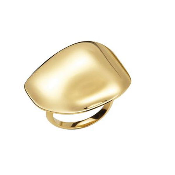HIJONES 12 Segni Celesti Costellazione Delicati Anelli Forati da Donna in Acciaio Inossidabile Regali per Compleanno Anelli Aperti Regolabili Argento Acquario