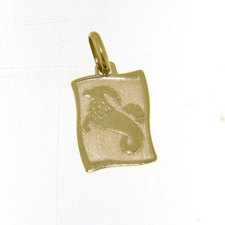 Pendente in Oro Zodiaco Capricorno ZOD07GGCP - Stella