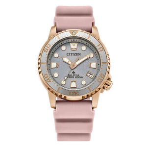 Orologio Diver's Eco Drive 200 mt Unisex Citizen