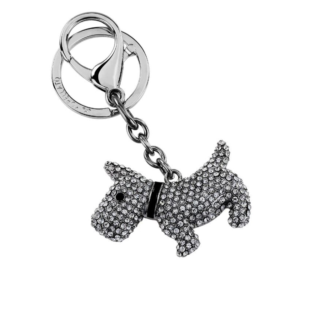 What would you say in italian about my dog, all I have is Bruno è molto  bello!, image size:1000x1000