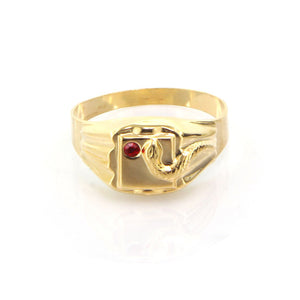 Anello Uomo in Oro Giallo con Zircone Rosso