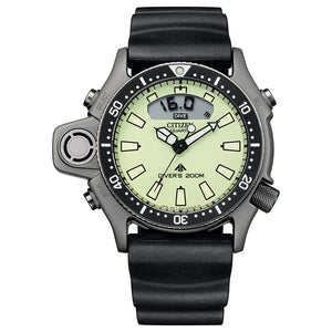 Orologio Uomo Acciaio Aqualand I Grey Promaster Citizen